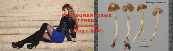 трава Козловка