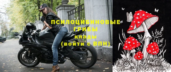 прущий лед Козельск