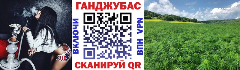 Марихуана сатива Кодинск